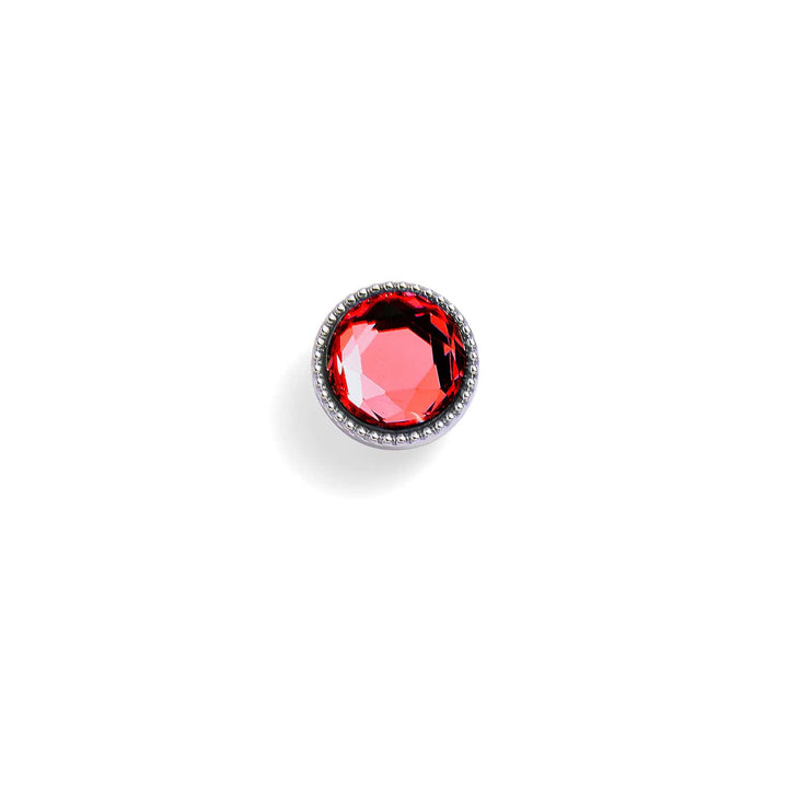 Personalized Birthstone Collar Charm for Dogs - Wearing Felicity Birthstone-Collar-Charm-Ruby Wear Felicity