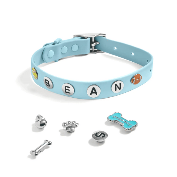 Customizable Waterproof Dog Collars with Charms - Wearing Felicity Build-Your-Dog-Collar-01 Wear Felicity