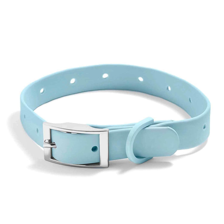 Stylish & Waterproof Silicone Dog Collars for Pets - Wearing Felicity Dog-Collar-Icy-Blue Wear Felicity