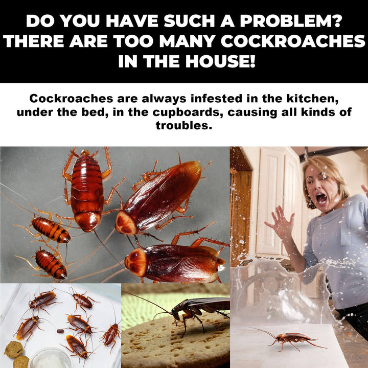 Collage of cockroaches with text about infestations in various locations. MoonSpry Cockroach Bait for Effective Kitchen Pest Control MoonSpry Cockroach Bait Unit Pest Deterrent Cockroach Bait for Kitchen Household Roach Removal Complete Nest Cleaner