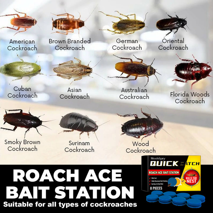 Illustration of various cockroach species with labels and a roach ace bait station product display. MoonSpry Cockroach Bait for Effective Kitchen Pest Control MoonSpry Cockroach Bait Unit Pest Deterrent Cockroach Bait for Kitchen Household Roach Removal Complete Nest Cleaner