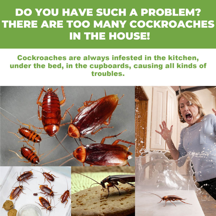 Collage of cockroaches with text about infestations in various locations. Effective MoonSpry Roach Deterrent for Home & Kitchen MoonSpry Roach Deterrent for Home, Dorm, and Kitchen, Effective in Exterminating and Repelling Cockroaches