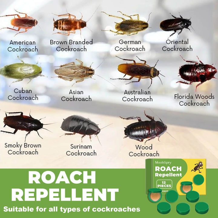 Illustration of various cockroach types with labels and a roach repellent product on a white background. Effective MoonSpry Roach Deterrent for Home & Kitchen MoonSpry Roach Deterrent for Home, Dorm, and Kitchen, Effective in Exterminating and Repelling Cockroaches