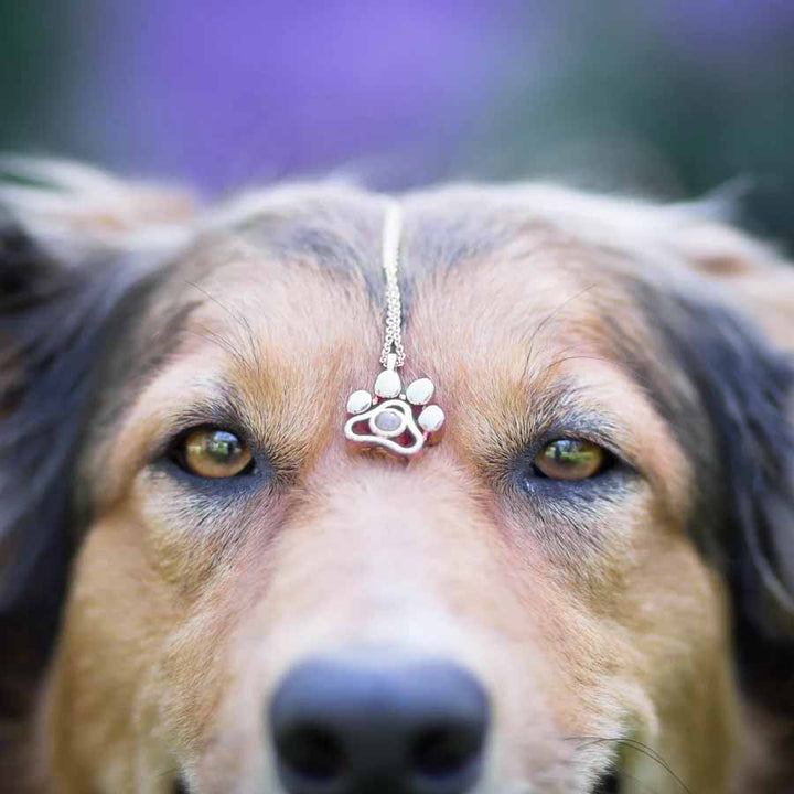Custom Pet Photo Necklaces - Perfect Gifts - Wearing Felicity Personalized-Pet-Photo-Necklace-01 Wear Felicity