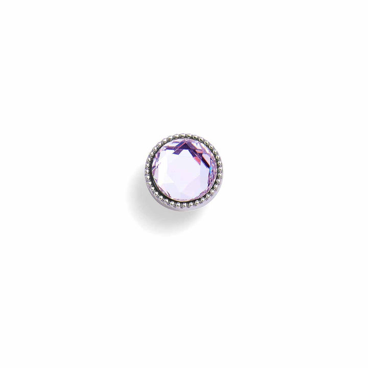 Personalized Round Birthstone Charm for Dogs -  Wearing Felicity Round-Birthstone-Charm-Amethyst